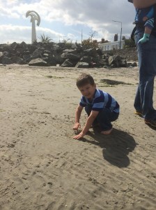 Digging in the sand.