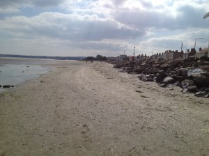 The long stretch of sand.
