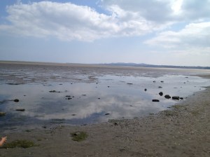 View from Sandymount strand