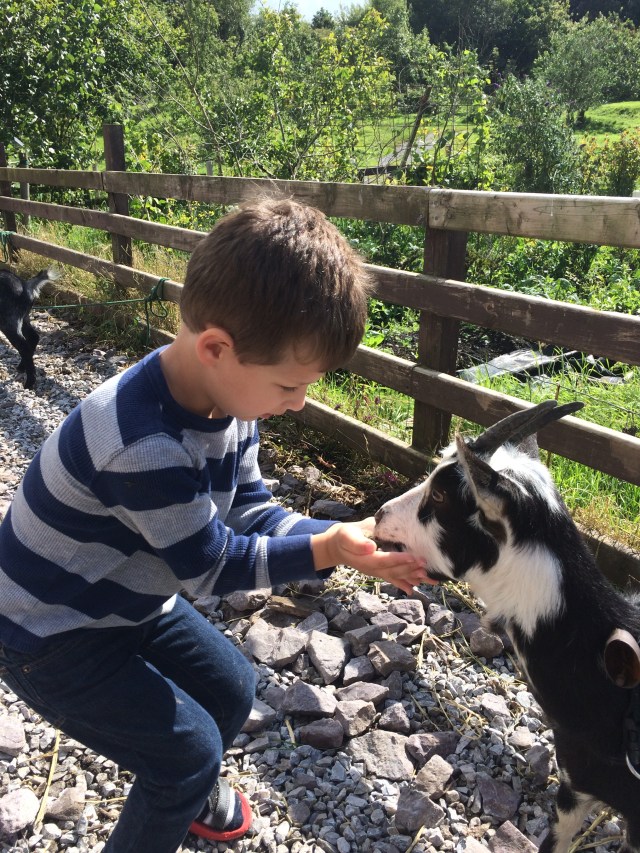 july august 2015 543