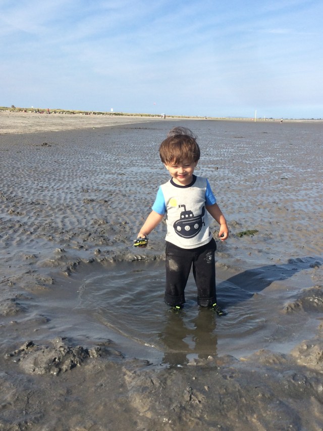 july august 2015 772