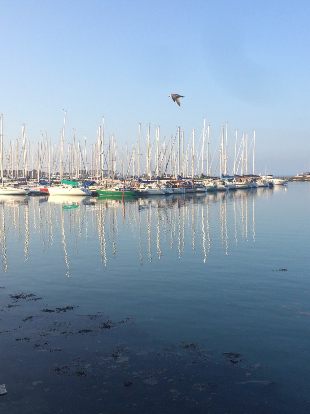 September 16 upload 3976