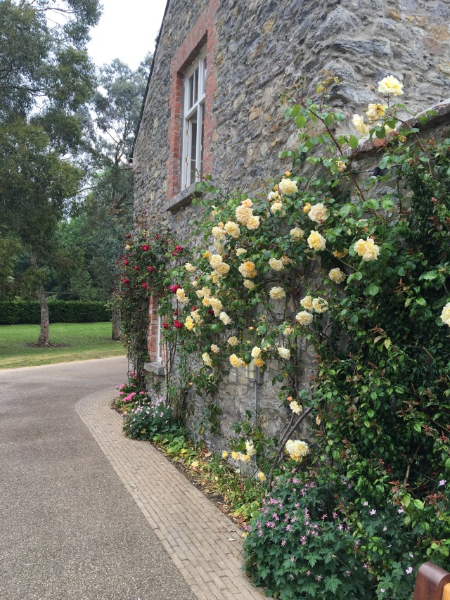 September 16 upload 5919