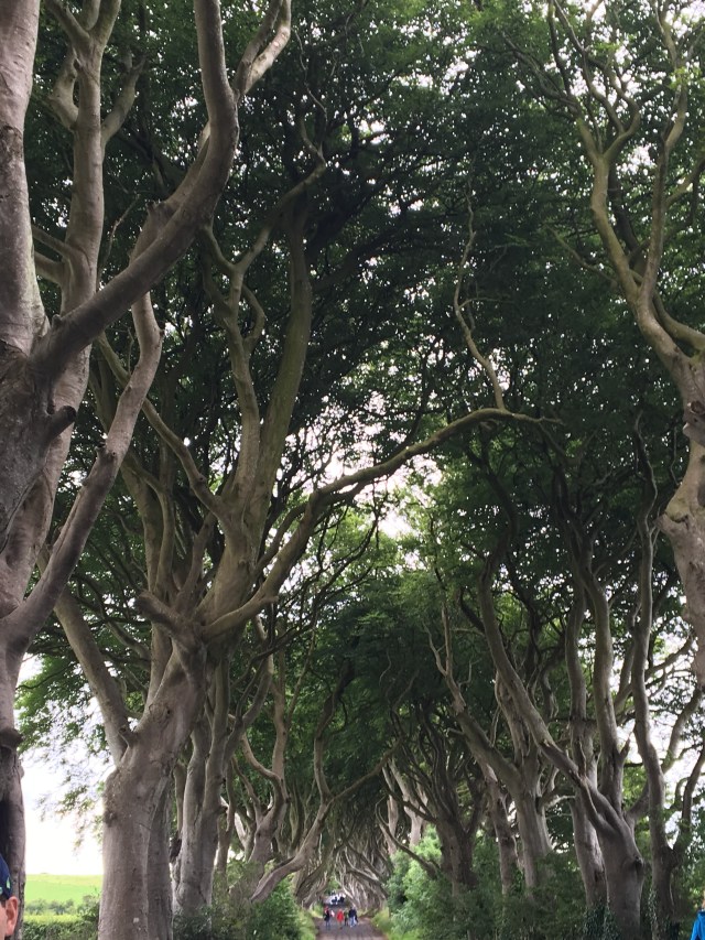 September 16 upload 6440