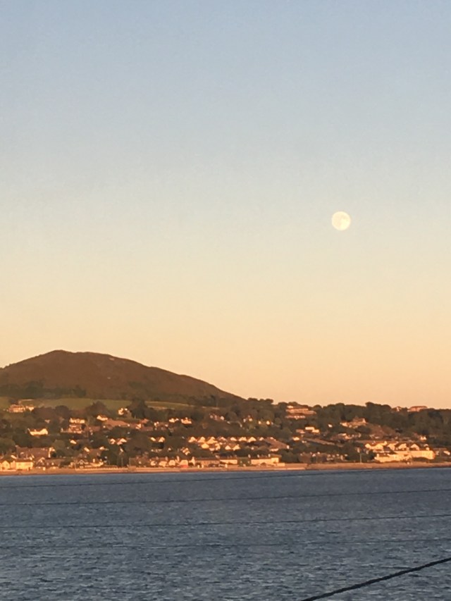 September 16 upload 6835